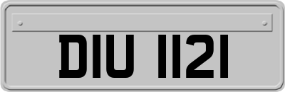 DIU1121