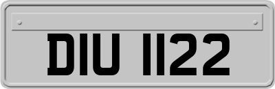 DIU1122
