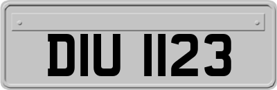 DIU1123
