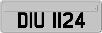 DIU1124