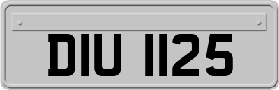 DIU1125