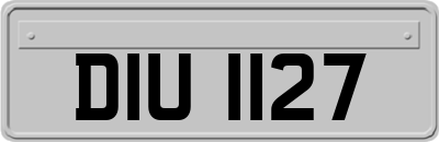 DIU1127