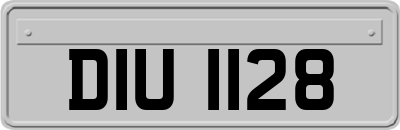 DIU1128