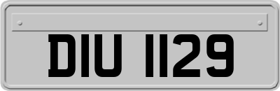 DIU1129