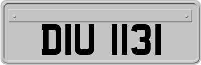DIU1131