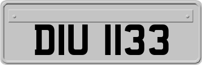 DIU1133