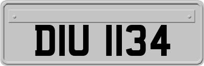 DIU1134