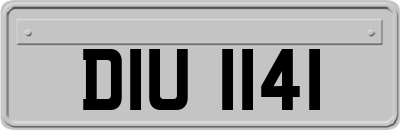 DIU1141