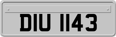 DIU1143