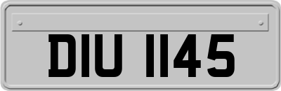 DIU1145