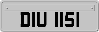 DIU1151