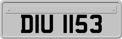 DIU1153
