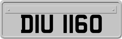 DIU1160