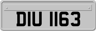 DIU1163