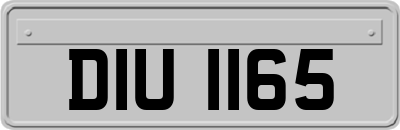 DIU1165
