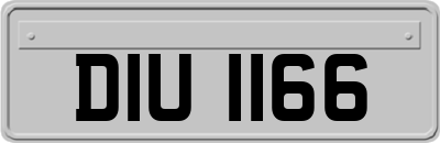 DIU1166