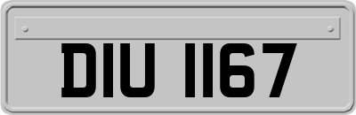 DIU1167