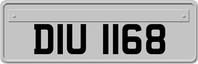 DIU1168