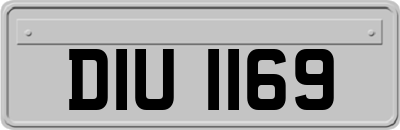 DIU1169