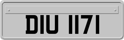 DIU1171