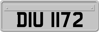 DIU1172