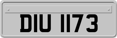 DIU1173