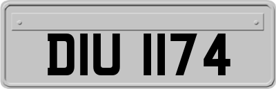 DIU1174