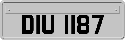DIU1187