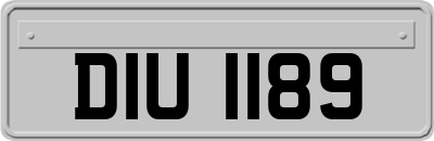 DIU1189