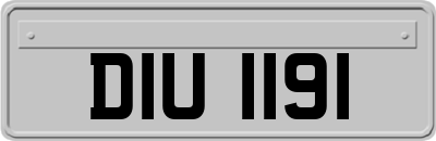 DIU1191
