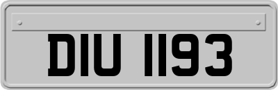 DIU1193