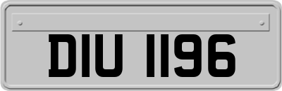 DIU1196