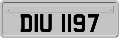 DIU1197
