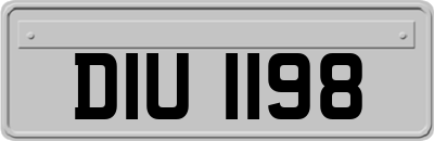 DIU1198