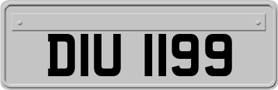 DIU1199