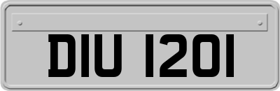 DIU1201