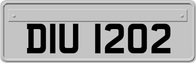 DIU1202