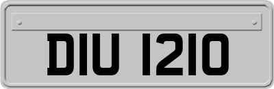 DIU1210