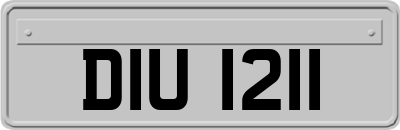 DIU1211