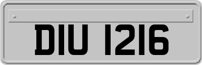 DIU1216