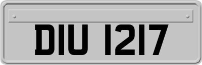 DIU1217
