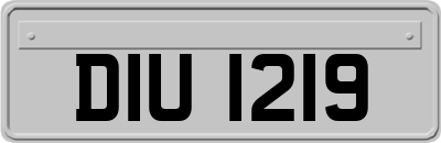 DIU1219