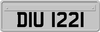 DIU1221
