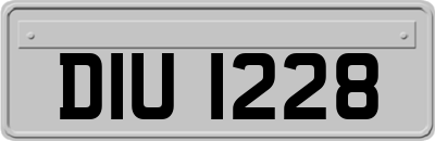 DIU1228