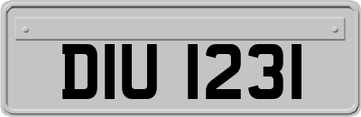 DIU1231