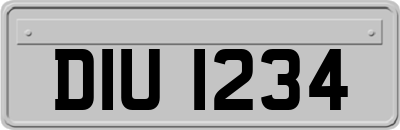 DIU1234