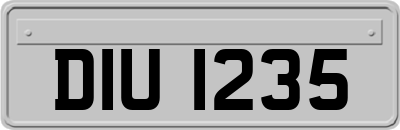 DIU1235