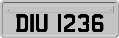 DIU1236