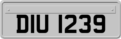 DIU1239