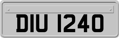 DIU1240